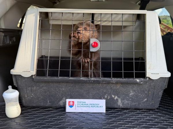 Zdroj: Národná zoo Bojnice 