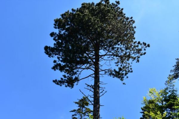 Ilustračn&eacute; foto Jozef Marko