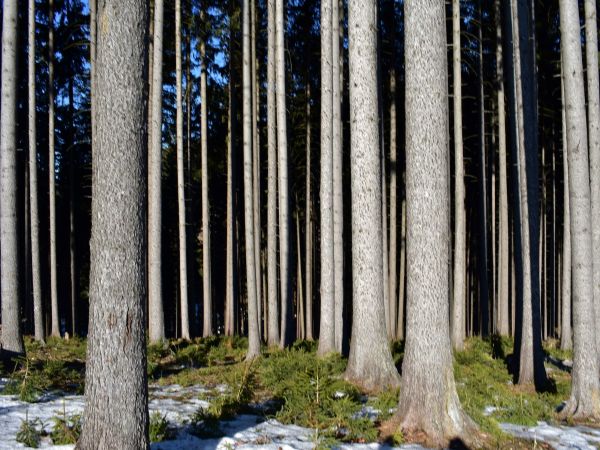 Ilustračné foto: Jozef Marko 