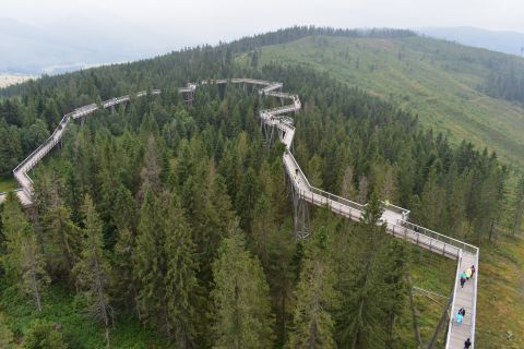 Chodník korunami stromov na Bachledke