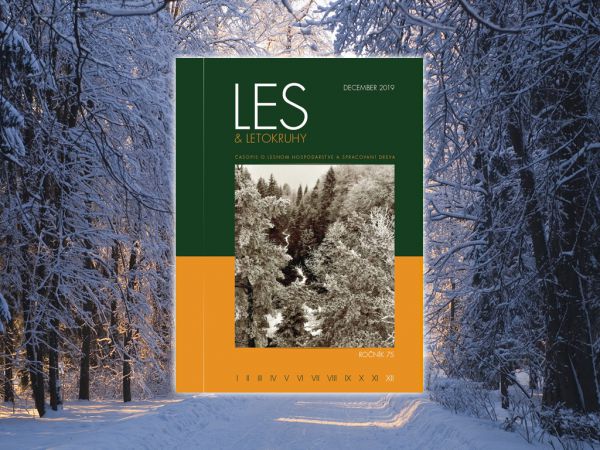 LES &amp; Letokruhy DECEMBER 2019