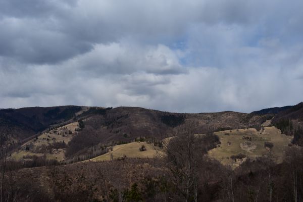 Kalamitné pochy na hrebeni, ktoré sa snažia lesníci obnoviť, chcú ochranári zaradiť do zóny B Národného parku Muránska planina