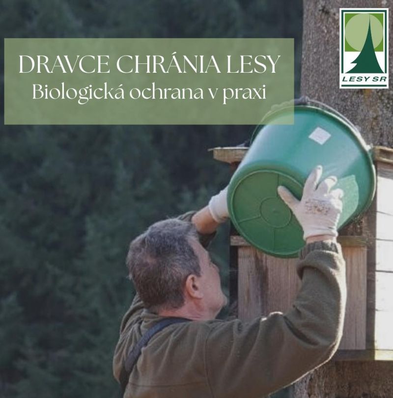 Zdroj: FB str&aacute;nka LESY SR &scaron;. p. 