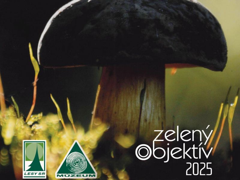 Lesnícke a drevárske múzeum vo Zvolene: 25. výstava s názvom Zelený objektív s dvoma novinkami potrvá od 26. marca do 2. mája 2026