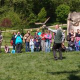 Lesn&iacute;cke dni v hlavnom meste