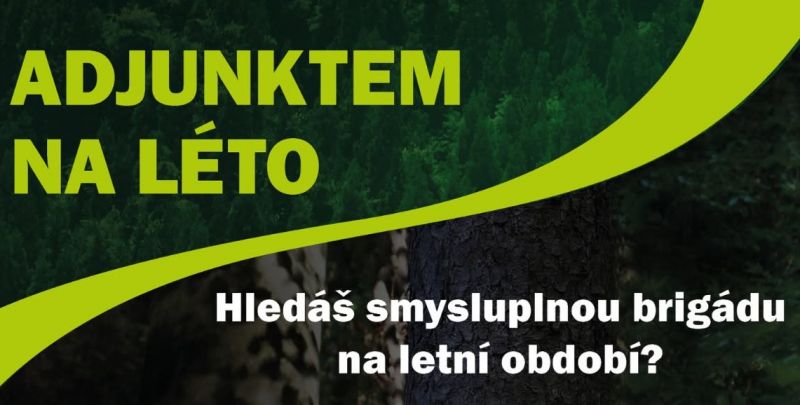 Zdroj: FB str&aacute;nka Lesy ČR &scaron;. p. 