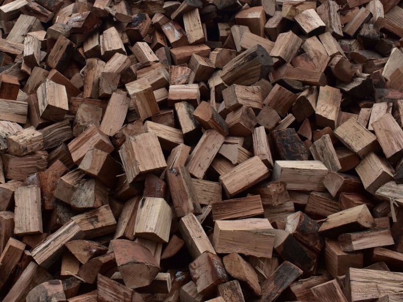 Ceny palivového dreva ostávajú v Česku stabilné: Správanie spotrebiteľov sa mení, menej sa predzásobujú a viac nakupujú mäkké drevo