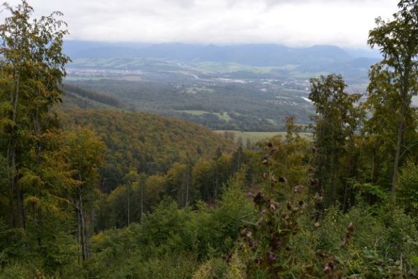 Lesy v kalastri obce Turčianske Kľačany v Malej Fatre 