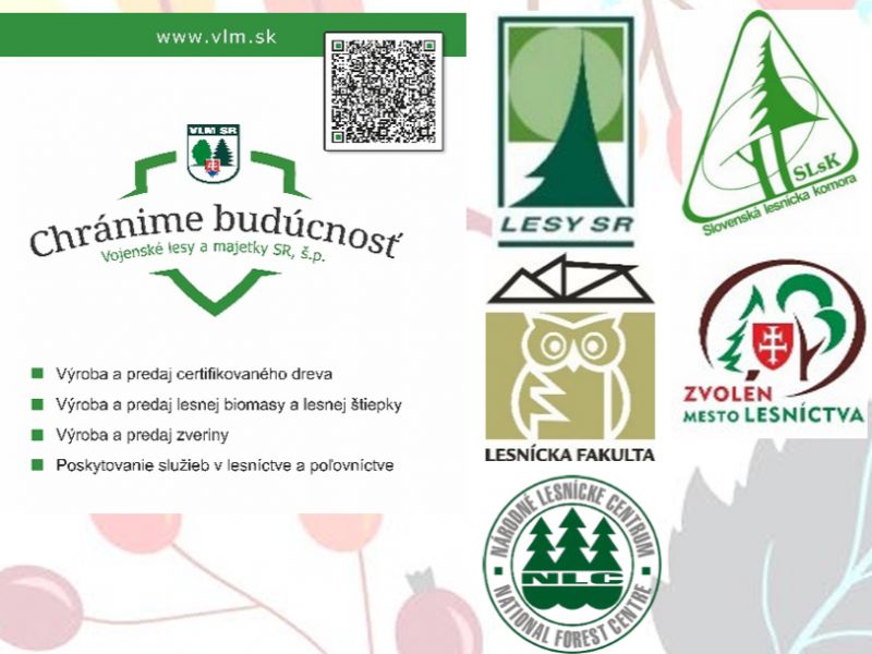 Partneri lesnej pedagogiky 