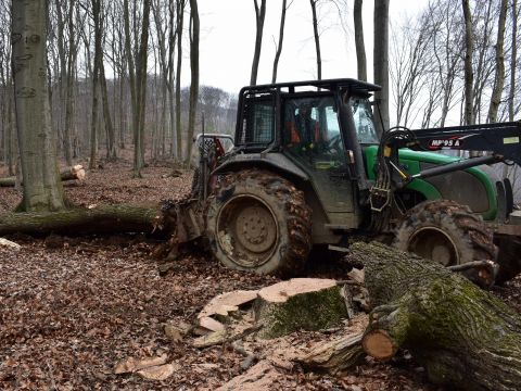 Ilustračné foto: Jozef Marko 