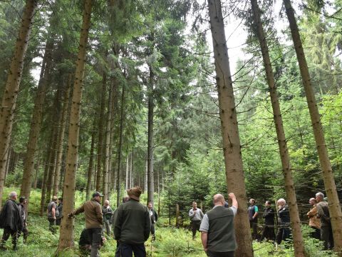 Účastníci lesníckeho dňa v teréne 