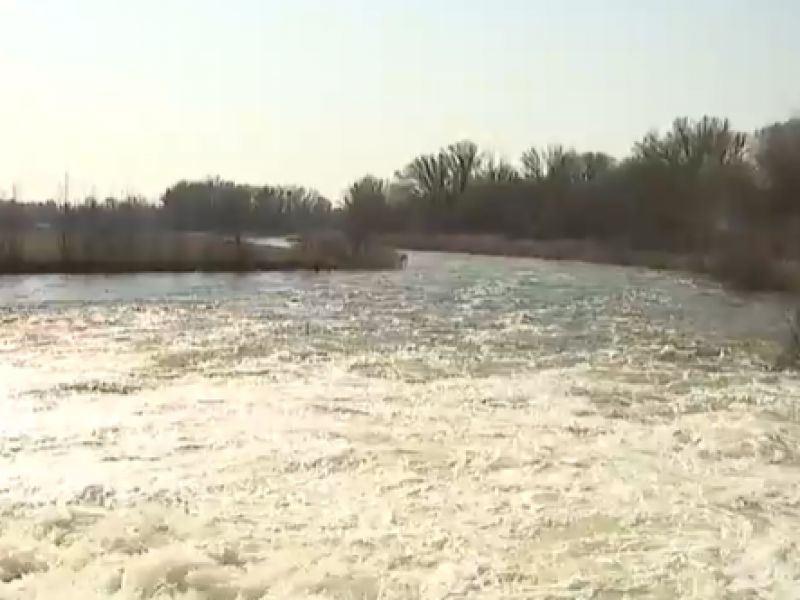 Umel&aacute; z&aacute;plava 