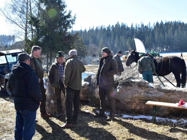 Na Slovensku ÚNIA každý rok organizuje Dni zeleného lesa 