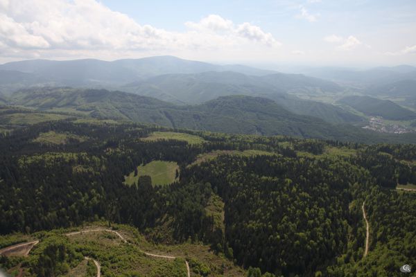 Obhospodarované lesy, lúky a pasienky na Muránskej planine 