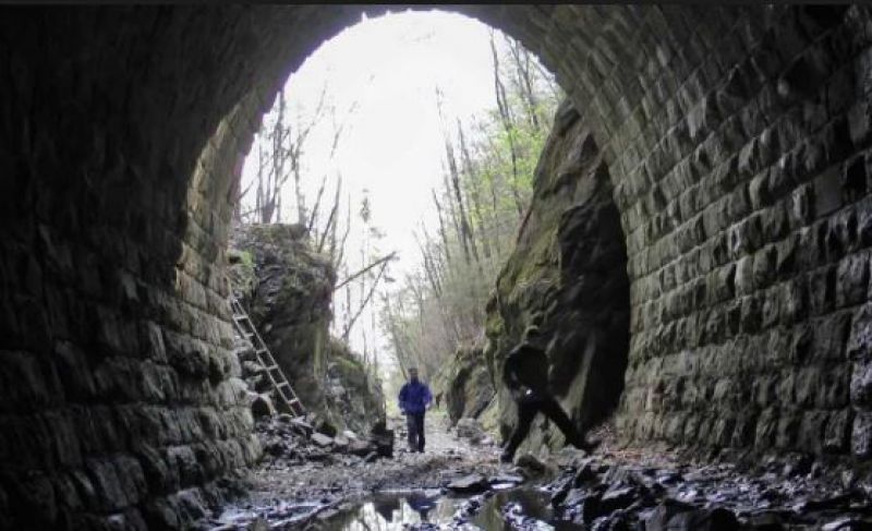 Tunel ohrozuje voda z lesa