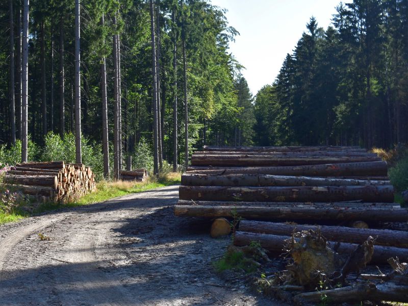 Ilustračné foto: Jozef Marko 