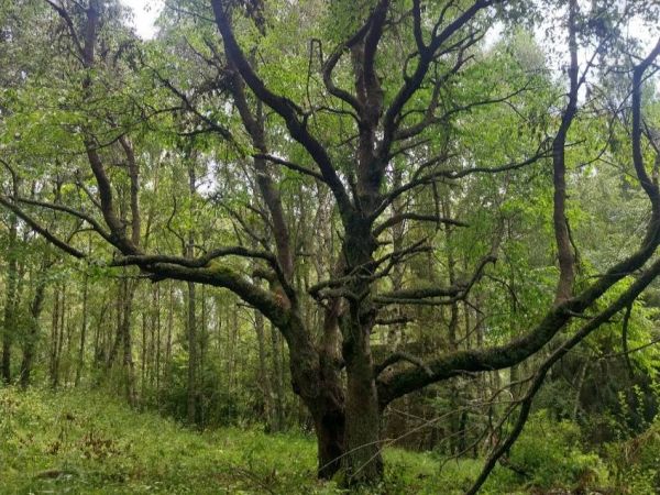 Foto: Ing. Marek Nosko 