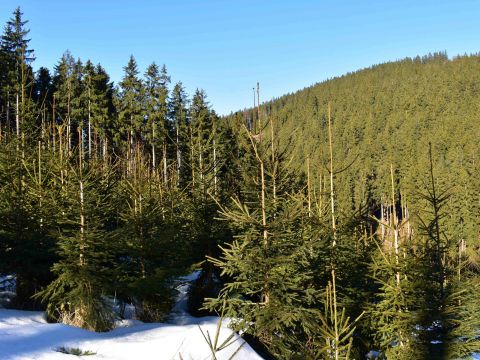 Ilustračné foto: Jozef Marko 