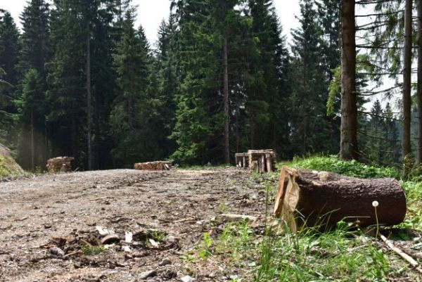 Ilustračn&eacute; foto Jozef Marko