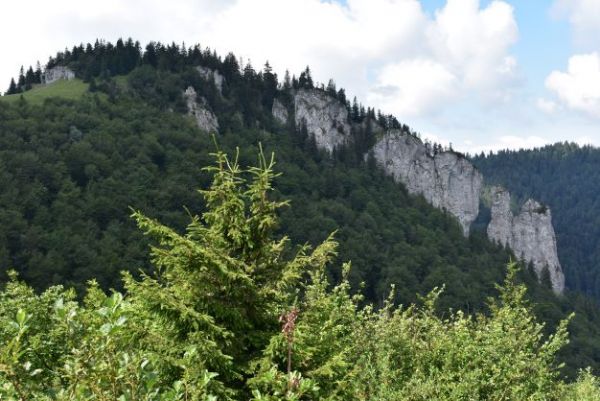 Pri Kráľovej studni vo Veľkej Fatre