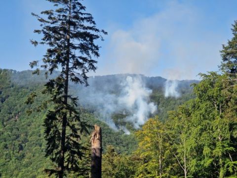 Pohľad na lesný požiar v porastoch košických mestských lesov 