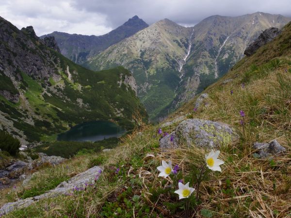 Tatransk&yacute; n&aacute;rodn&yacute; park 