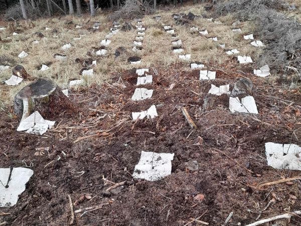 Foto: Mgr. Ondrej Jankura 