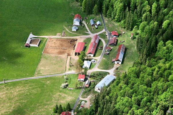 Pohľad na chov koní norika muránskeho typu na Veľkej Lúke na Muránskej planine zhora 