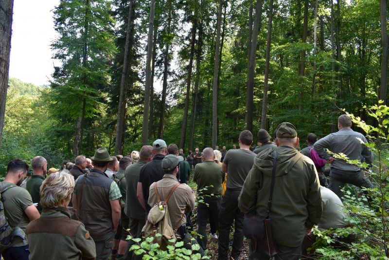 Obhliadka porastov počas minuloročného odborného seminára v Mestských lesoch Košice 