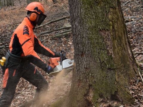 Ilustračné foto: Jozef Marko 