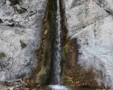 Ilustračn&eacute; foto: Jozef Marko 