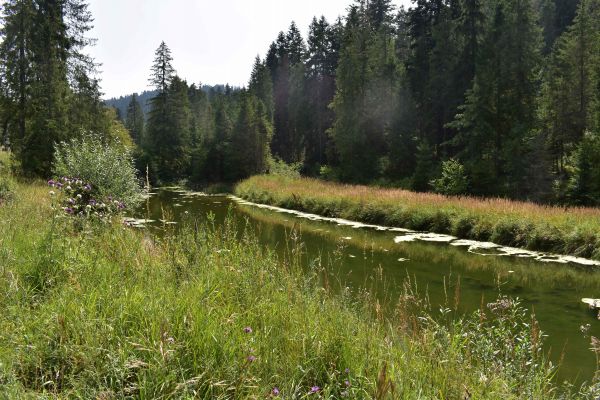 Ilustračné foto: Jozef Marko 