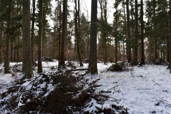 Ilustračn&eacute; foto Jozef Marko