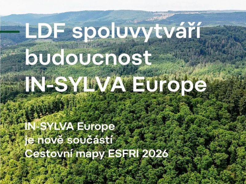 Lesnícka a drevárska fakulta Mendelovej univerzity v Brne: Projekt IN-SYLVA Europe buduje prvú celoeurópsku výskumnú infraštruktúru zameranú na adaptáciu lesov na zmenu klímy