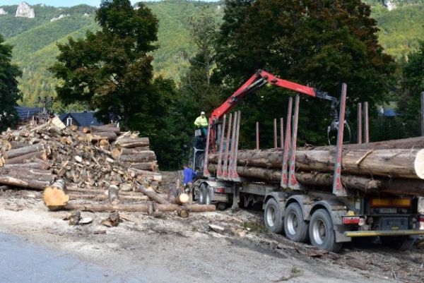 Ilustračn&eacute; foto Jozef Marko