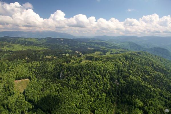 Nádherné lesy obnovované lesníkmi v Národnom parku Muránska planina 