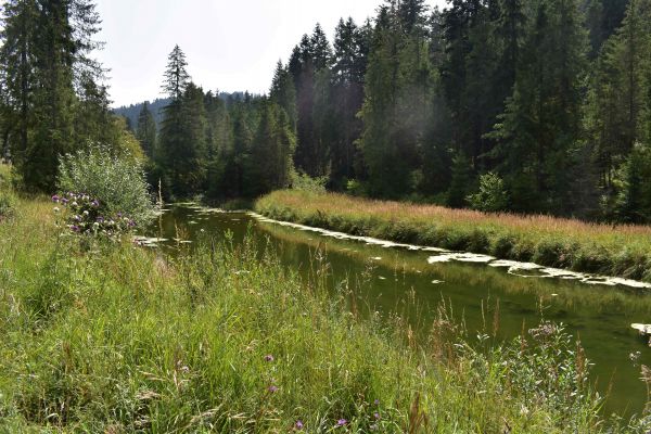 Ilustračné foto: Jozef Marko 