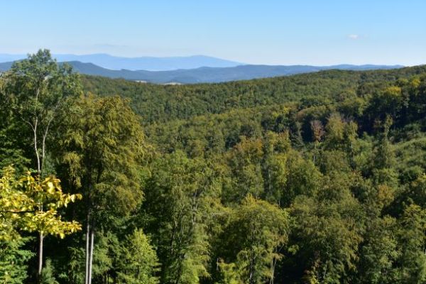 Ilustračn&eacute; foto Jozef Marko