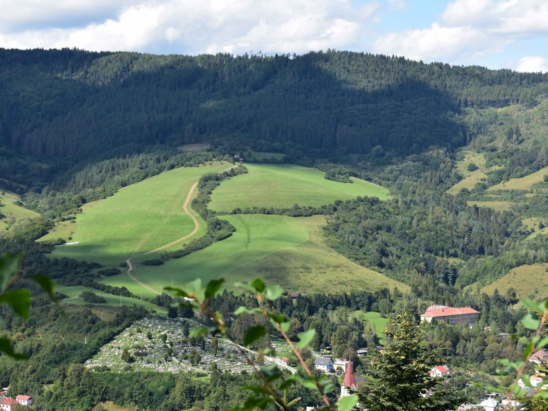 Lesy v okolí Gelnice