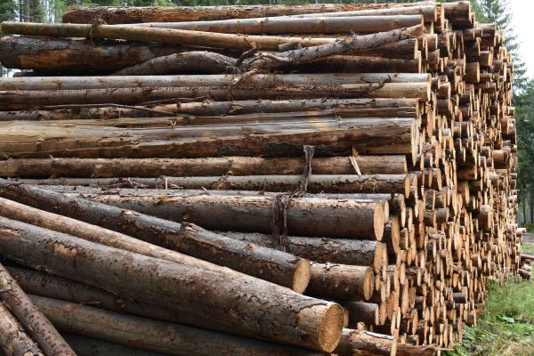 Ilustračné foto: Jozef Marko 