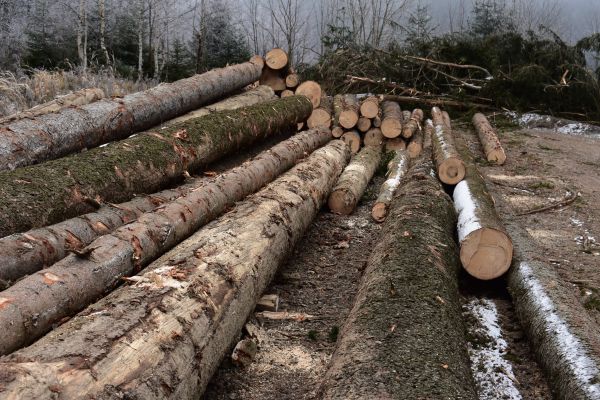 Ilustračn&eacute; foto Jozef Marko