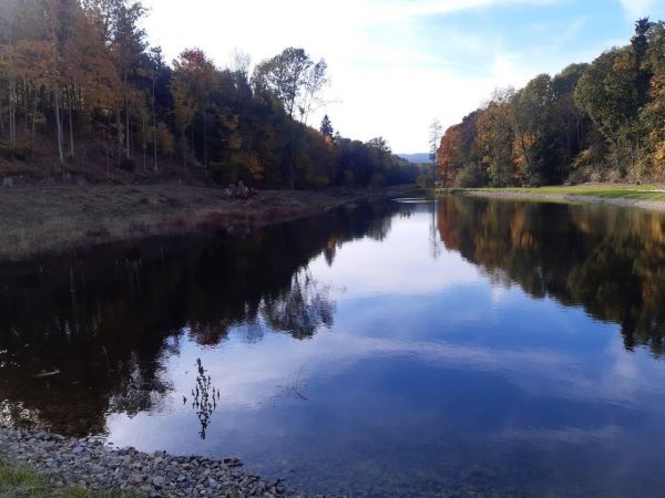 Foto: internetov&aacute; str&aacute;nka Lesy ČR &scaron;. p. 