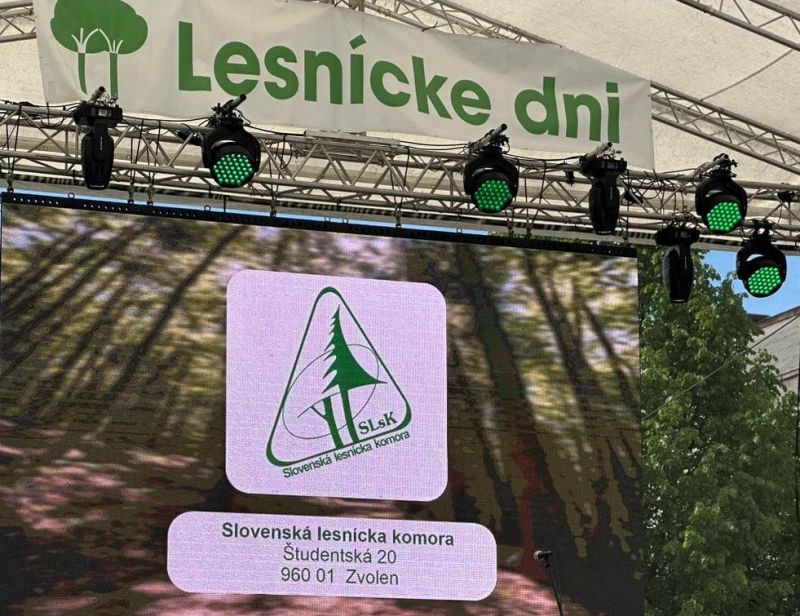 Ilustračn&eacute; foto: arch&iacute;v Lesmedium.sk 