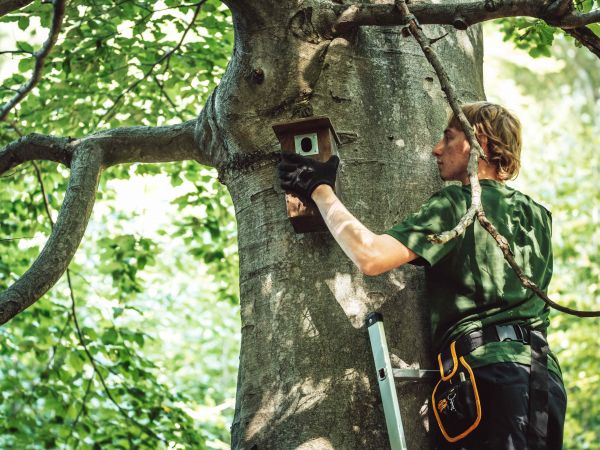 Zdroj: Internetová stránka Lesy ČR