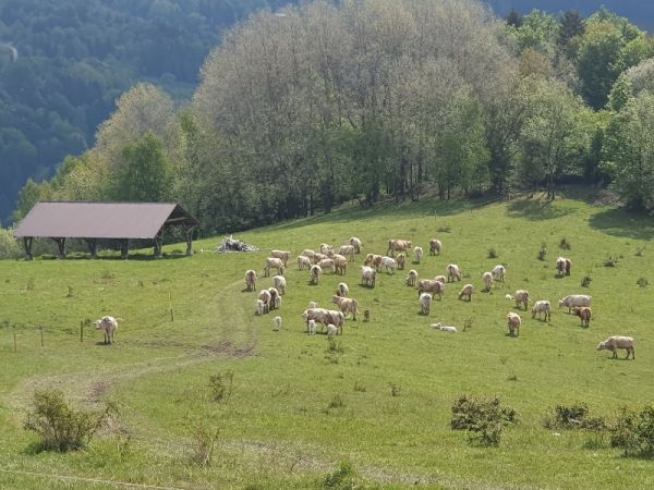 Prvá agrárna spolumajiteľov vo Veľkom Rovnom realizuje agrolesnícke postupy už niekoľko rokov 