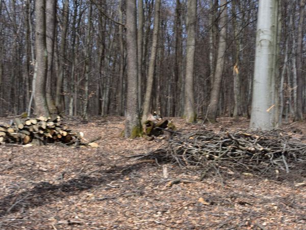 Ilustračn&eacute; foto: Jozef Marko 