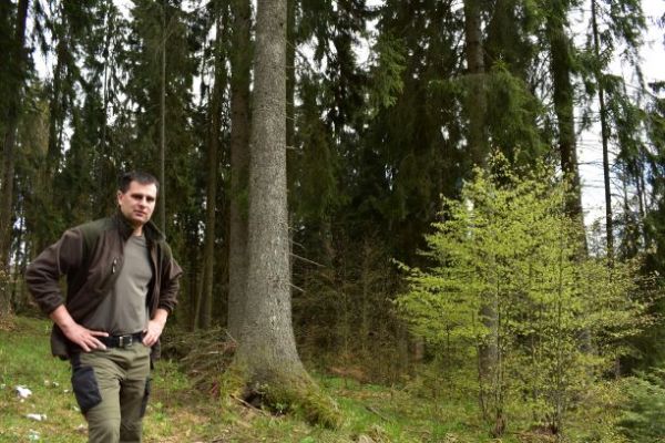 Ing. Cyril B&aacute;beľa ml. v poraste na Mur&aacute;nskej planine 