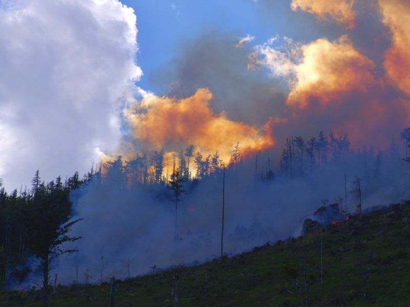 Ilustračn&eacute; foto: Ing. J&aacute;n Slivinsk&yacute; 