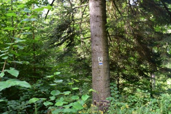 Ilustračné foto Jozef Marko