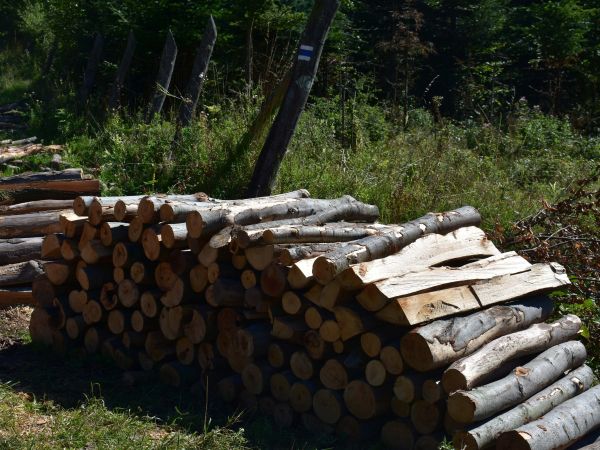 Ilustračné foto: Jozef Marko 